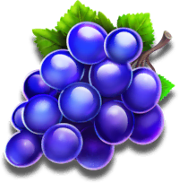grape